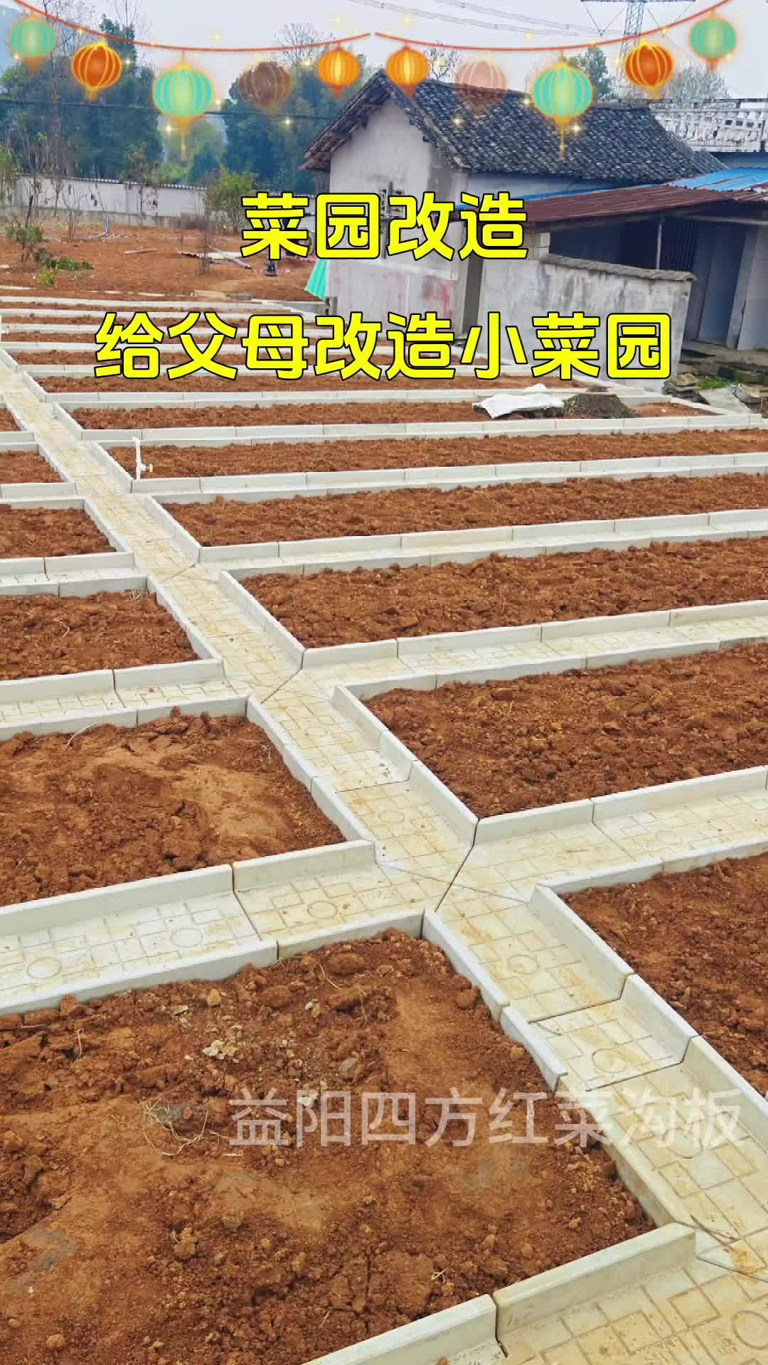过年回家给父母改造小菜园 菜园 我的田园生活 菜沟板 农村菜园设计 种菜