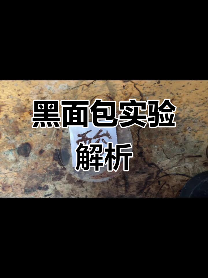 浓硫酸的脱水实验:黑面包反应揭秘