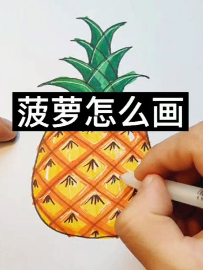 菠萝怎么画