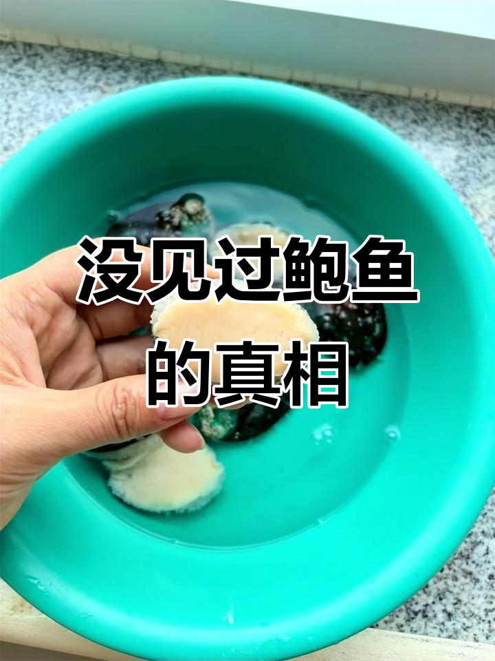 第一次见鲍鱼,原来长这样!
