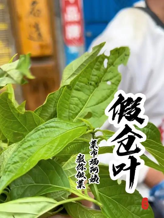 同学们,这个菜你们那儿叫什么名字?你们都是怎么吃的呢?请用家乡话说出它的名字 菜市场阿姨教