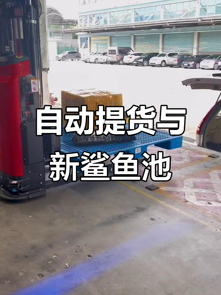 机场自动提货,蒙古包鲨鱼池升级揭秘