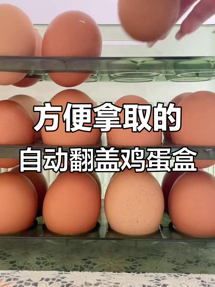 自动翻盖鸡蛋盒,30个蛋轻松收纳不烂