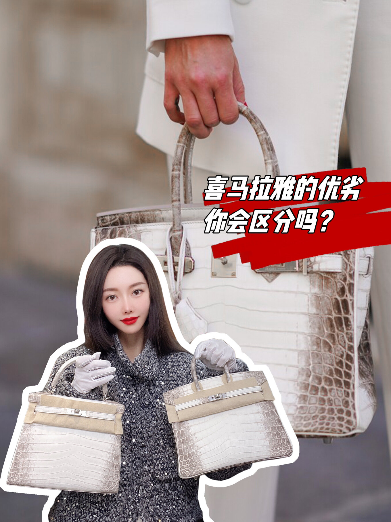 喜马拉雅鳄鱼也分优劣?教你怎么挑选