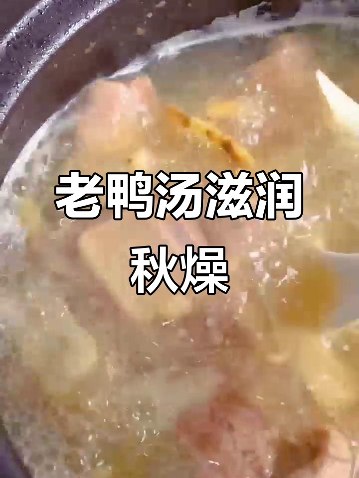 秋季皮肤干燥？试试这道滋阴老鸭汤，润肺又补水