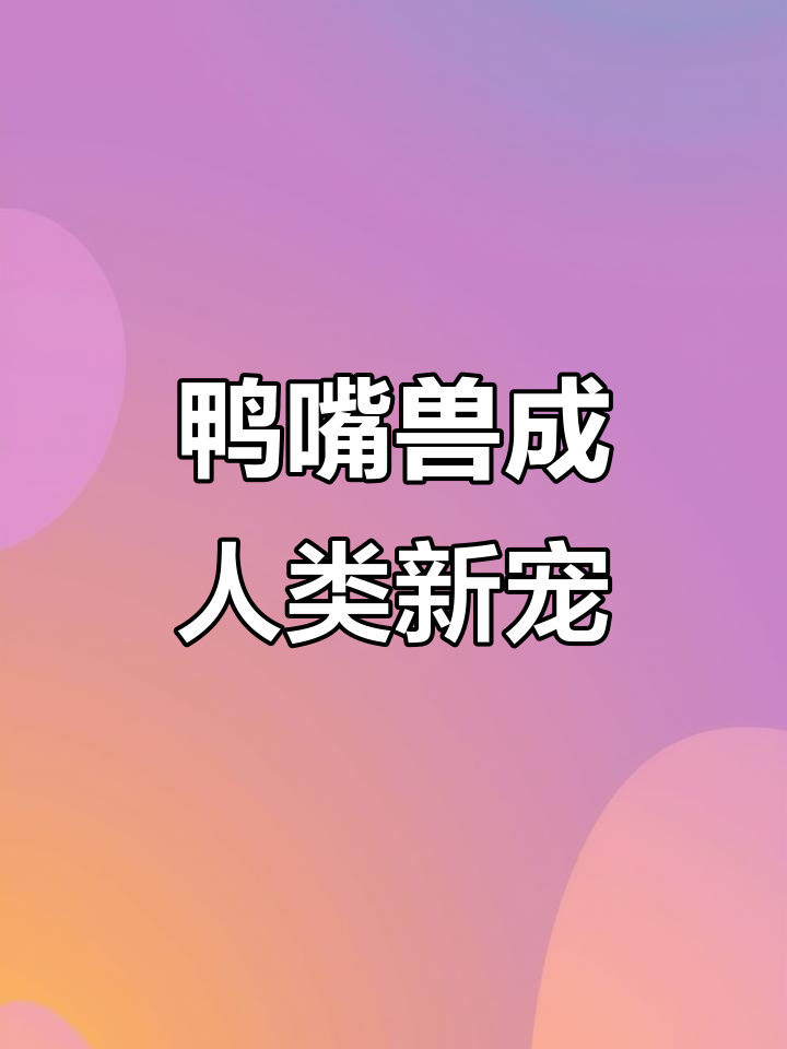 鸭嘴兽每天“捉弄”专家,最后成了他们的宠物