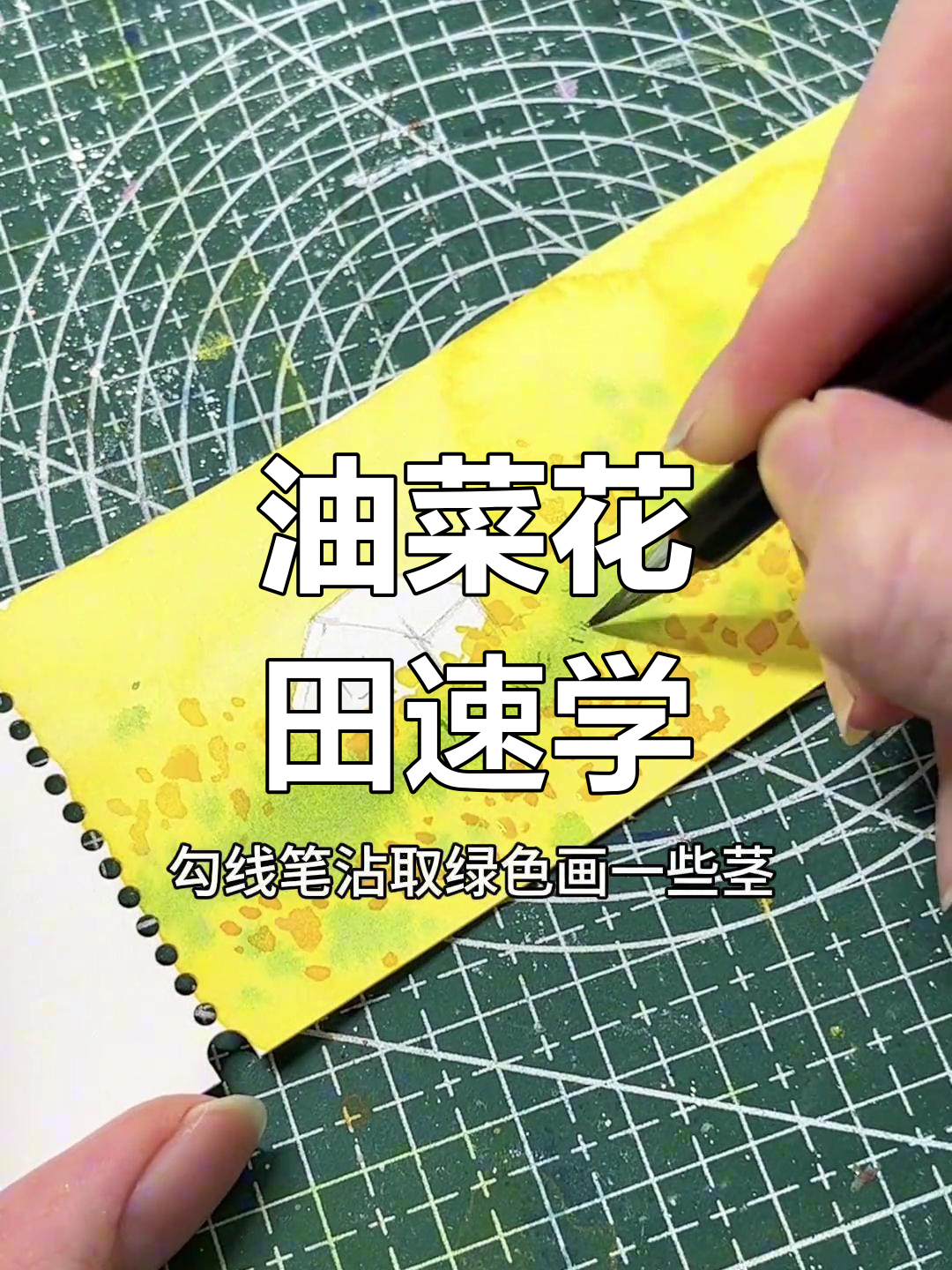 油菜花田轻松画,简单又好看!