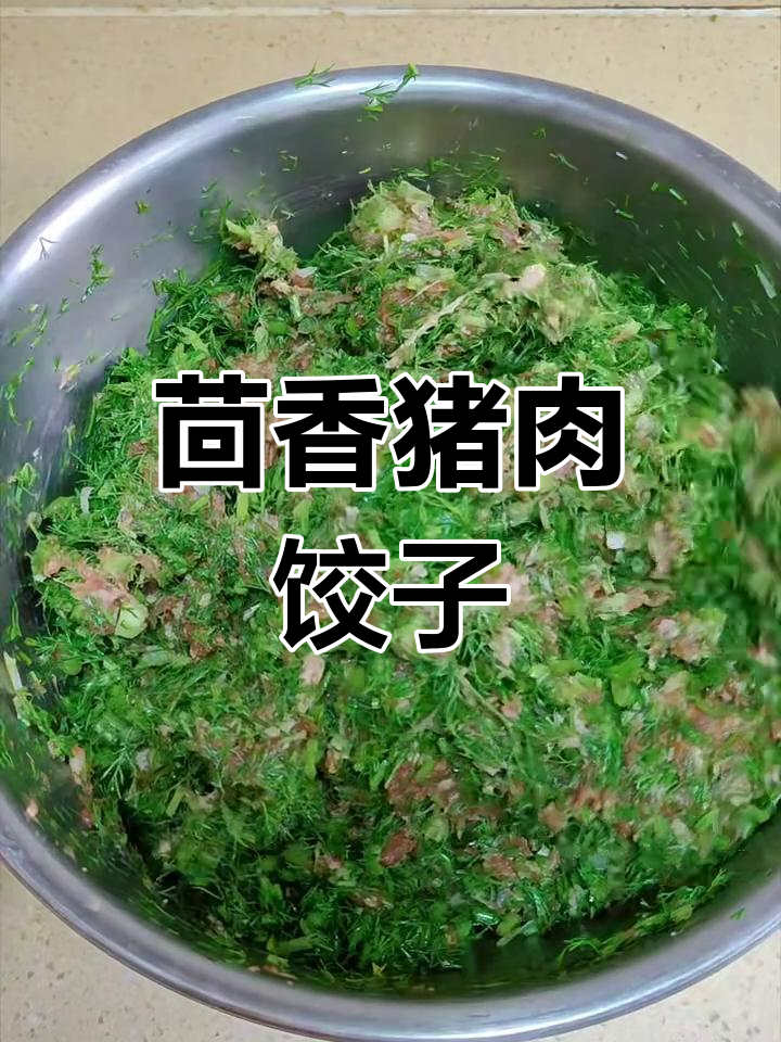 茴香猪肉饺子馅,香气扑鼻让人无法抗拒