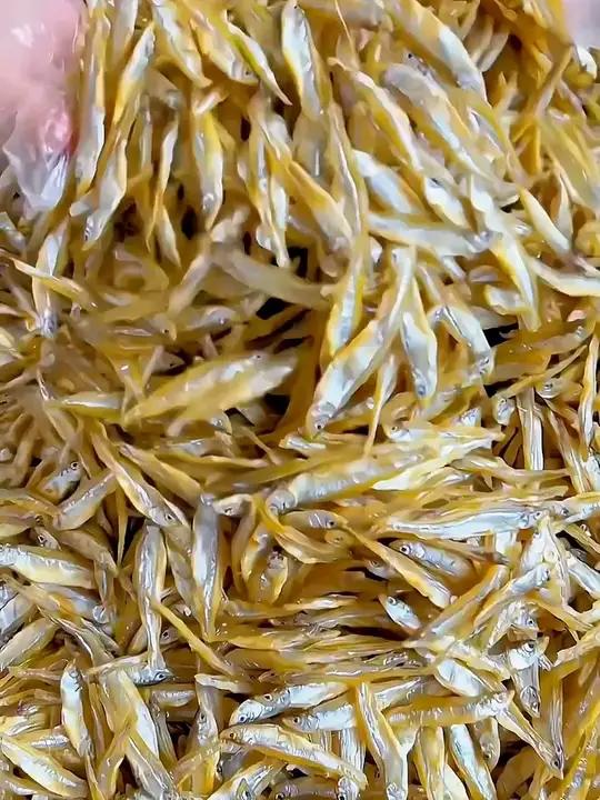 公干鱼干白公鱼美味小鱼干海鲜干货海燕丁香鱼咸鱼干4