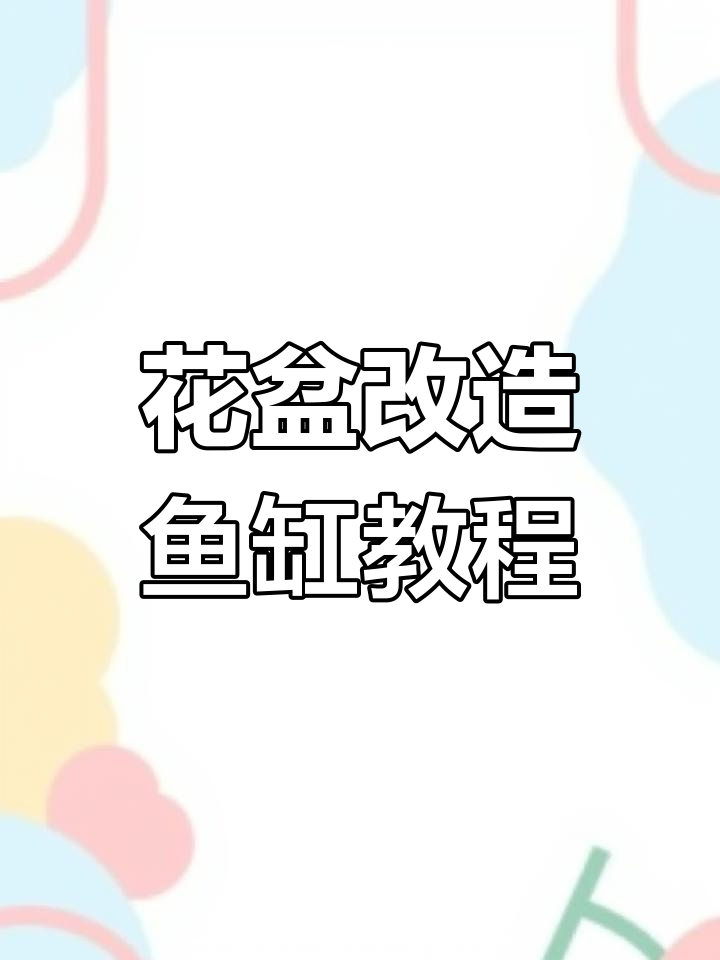 废花盆变鱼缸,简单几步教你DIY生态缸