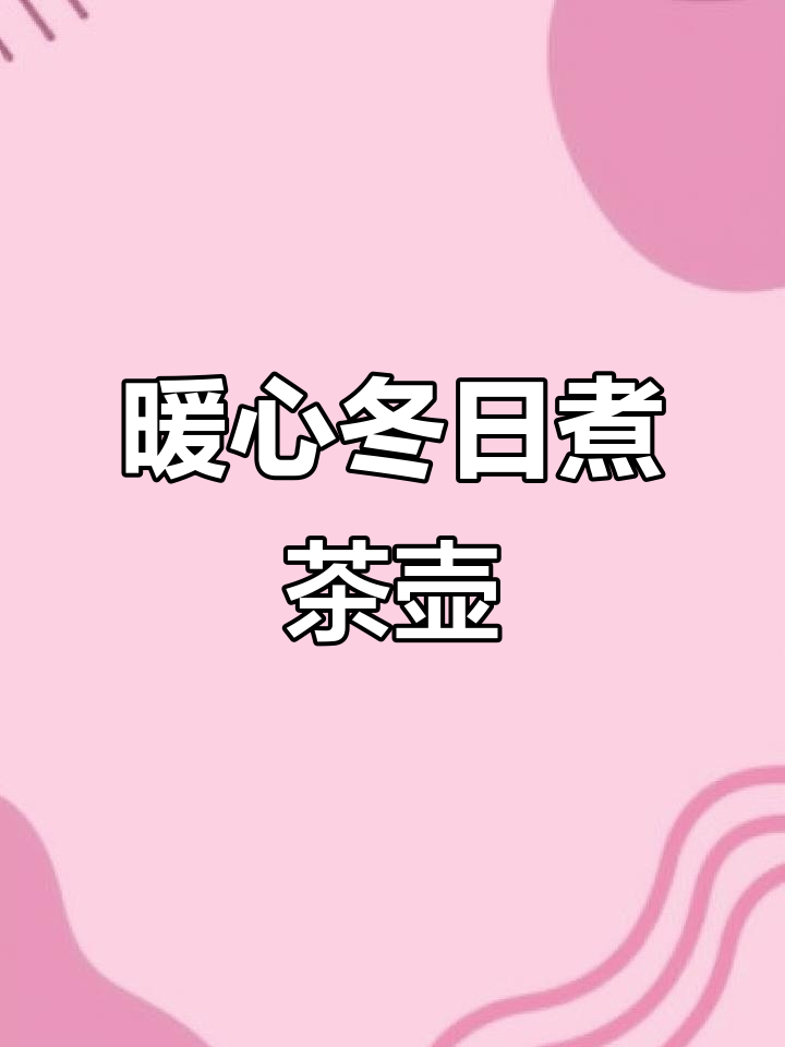 冬季必备!苏泊尔煮茶壶,高硼硅玻璃炖甜品,温暖一整天