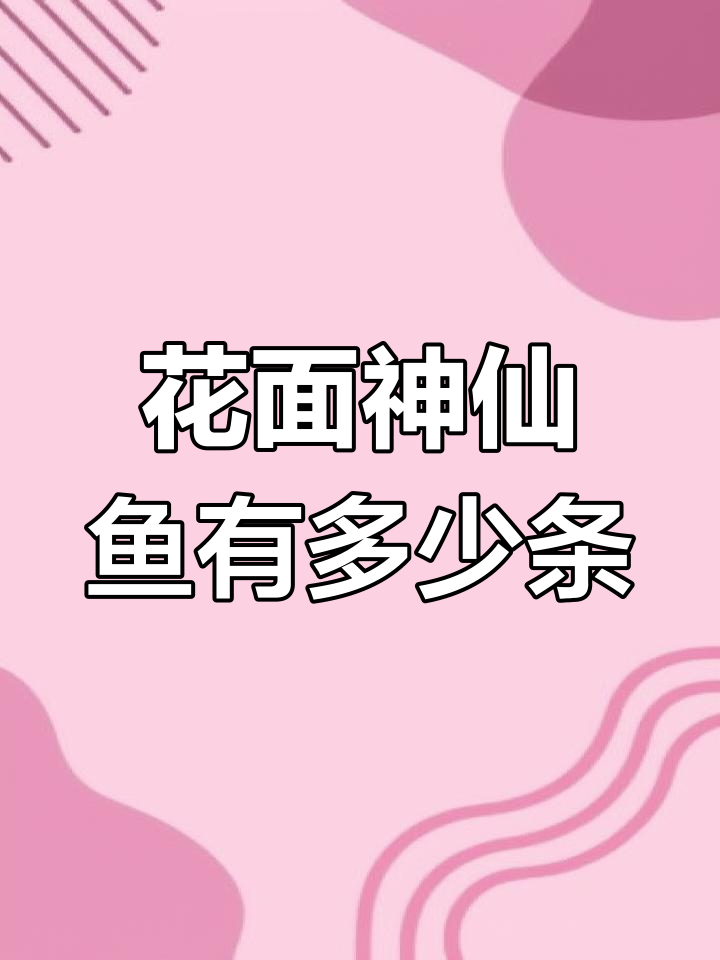 黄金神仙鱼与花面神仙鱼的奇妙数量关系,轻松解答!