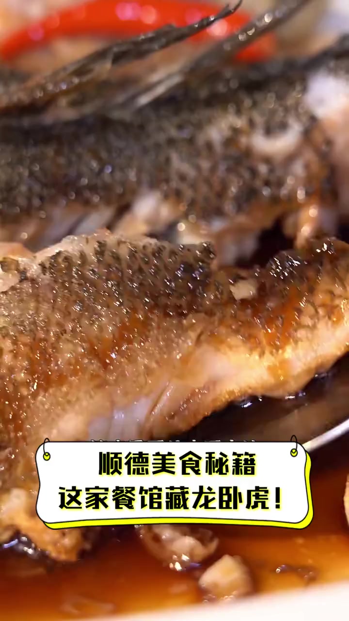 顺德美食秘籍,这家餐馆藏龙卧虎!