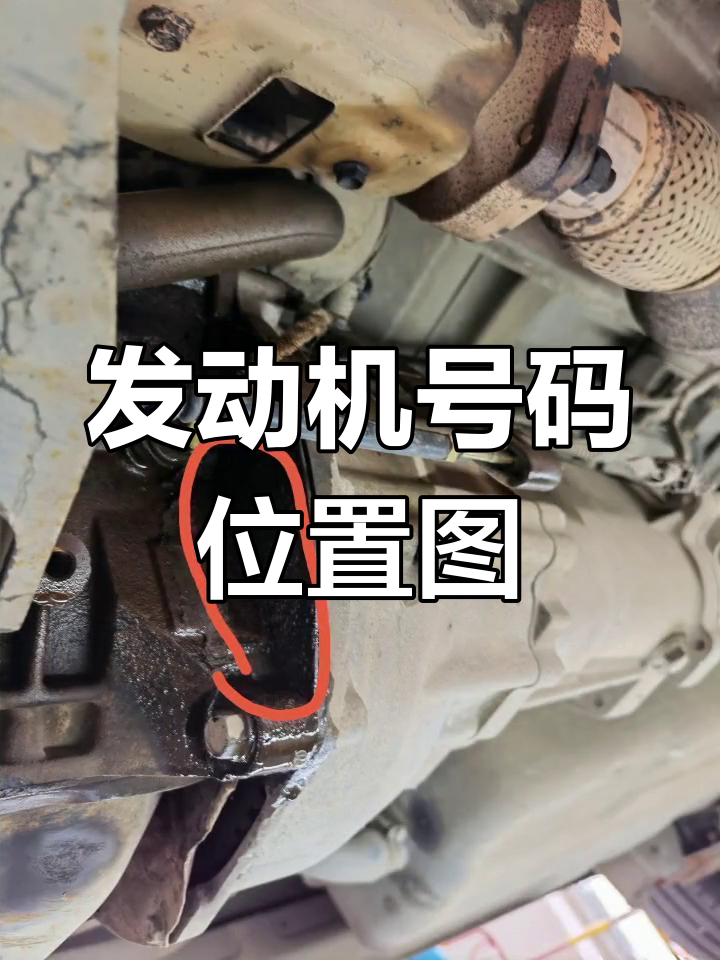 五菱面包车发动机号位置解析