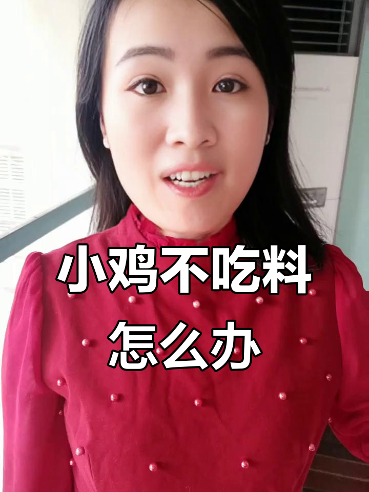 小鸡吃食不积极?这些原因你得知道