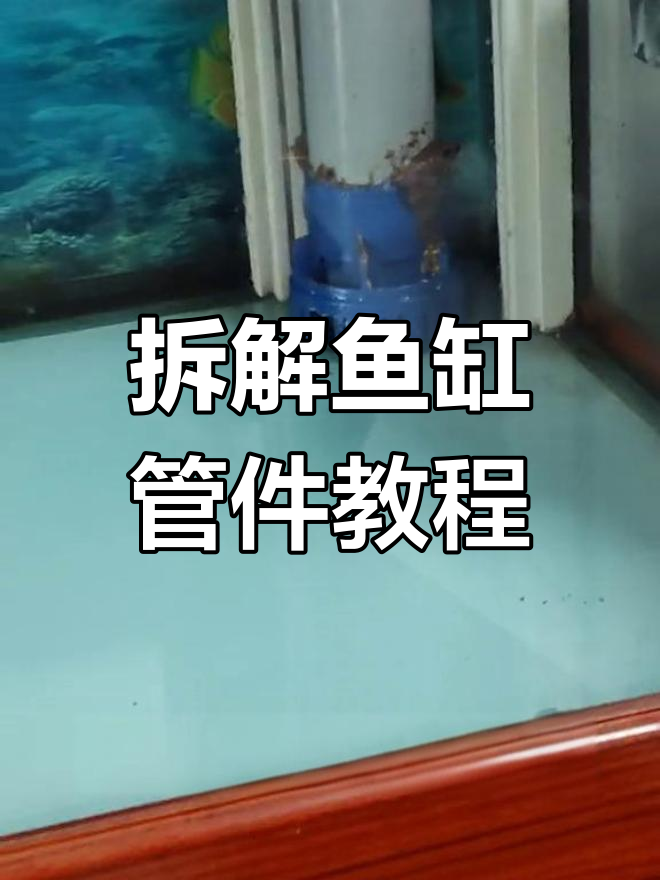 鱼缸过滤系统拆卸全攻略,轻松搞定!