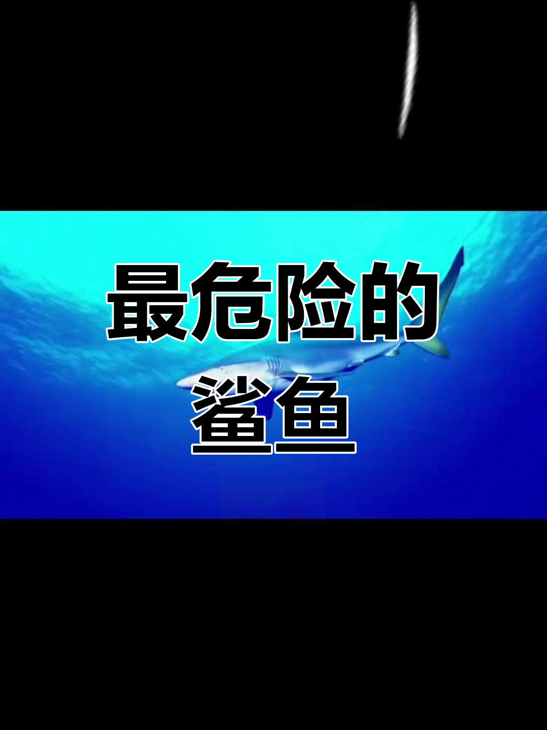 深海中最恐怖的鲨鱼,你了解吗?