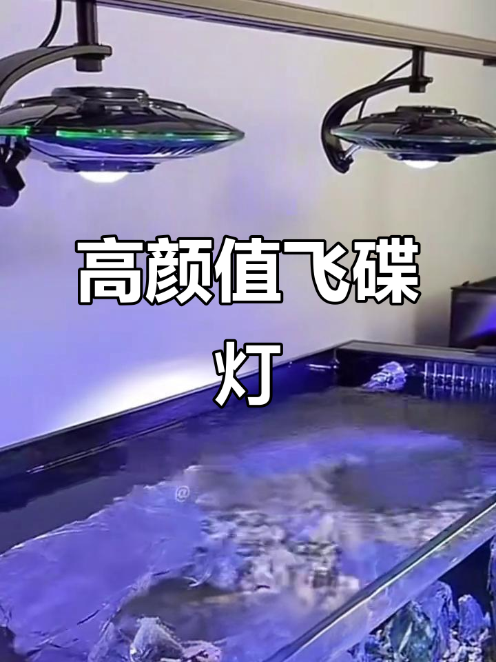 飞碟灯既实用又美观,适合各种鱼缸装饰,高端感十足!