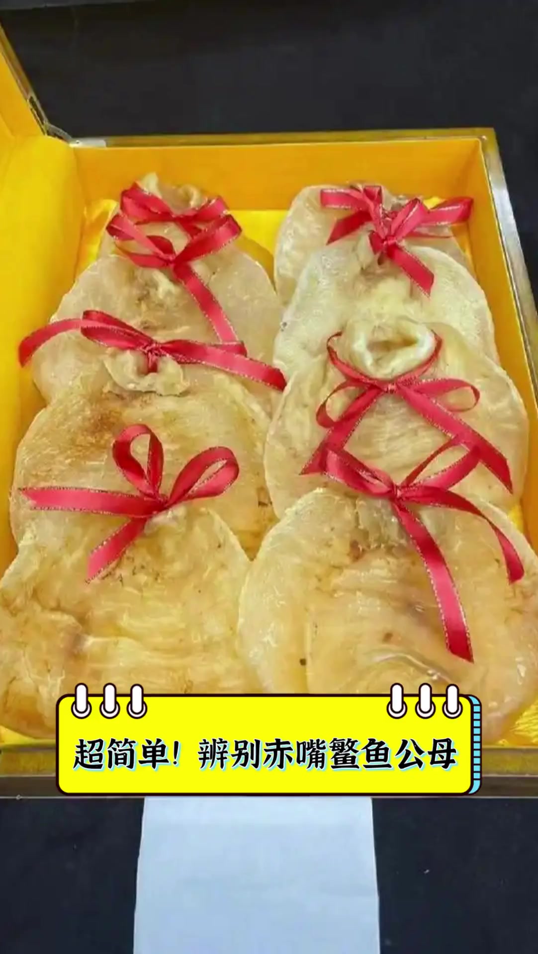 超简单!辨别赤嘴鳘鱼公母