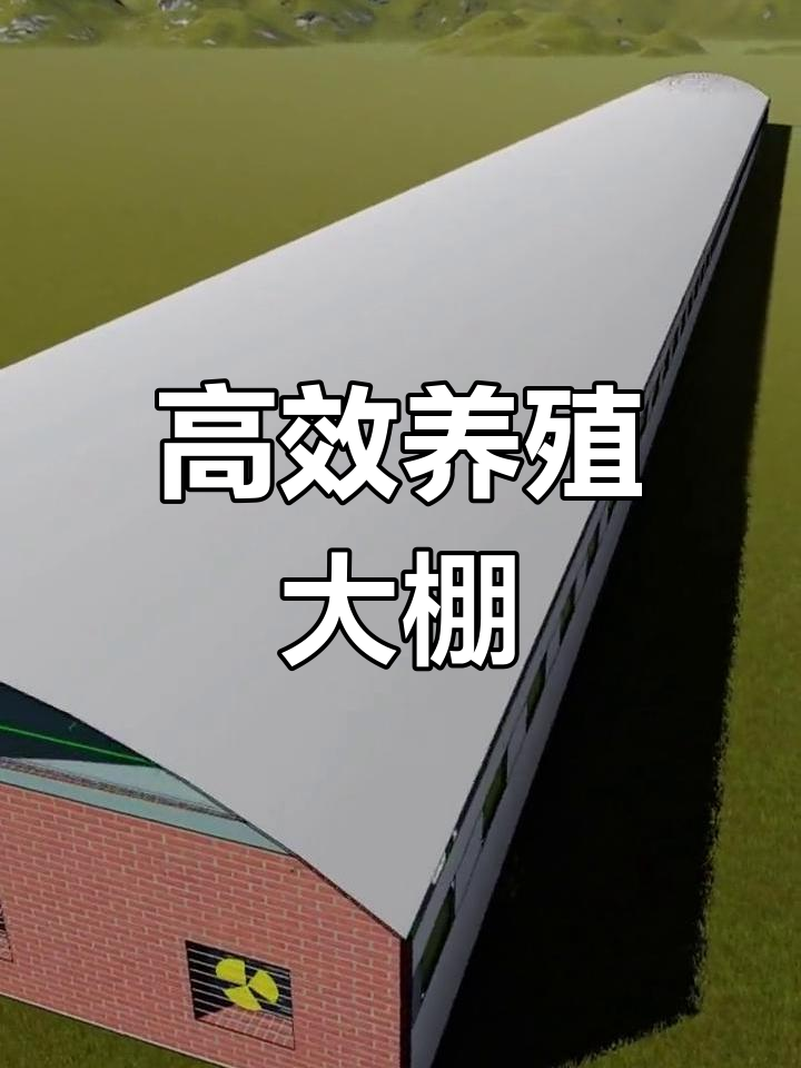 全钢架笼养鸡大棚设计,高效利用空间