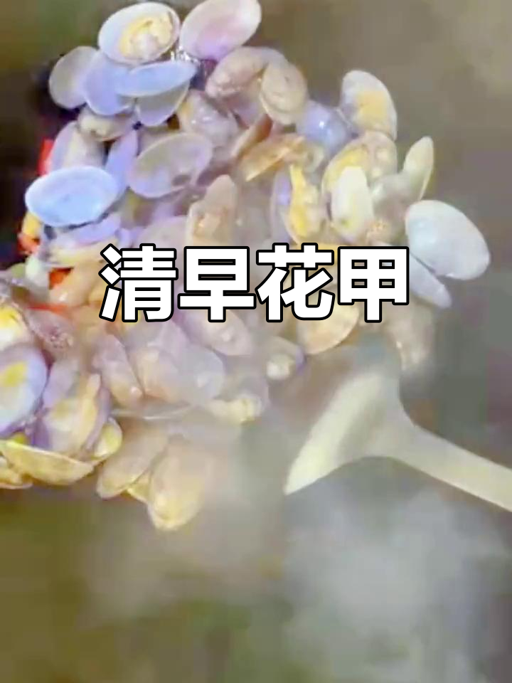 早晨花甲做法,轻松去沙