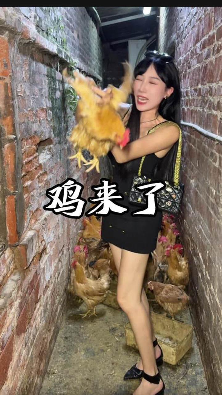 68 一只果园走地鸡,可堂食外带别错过