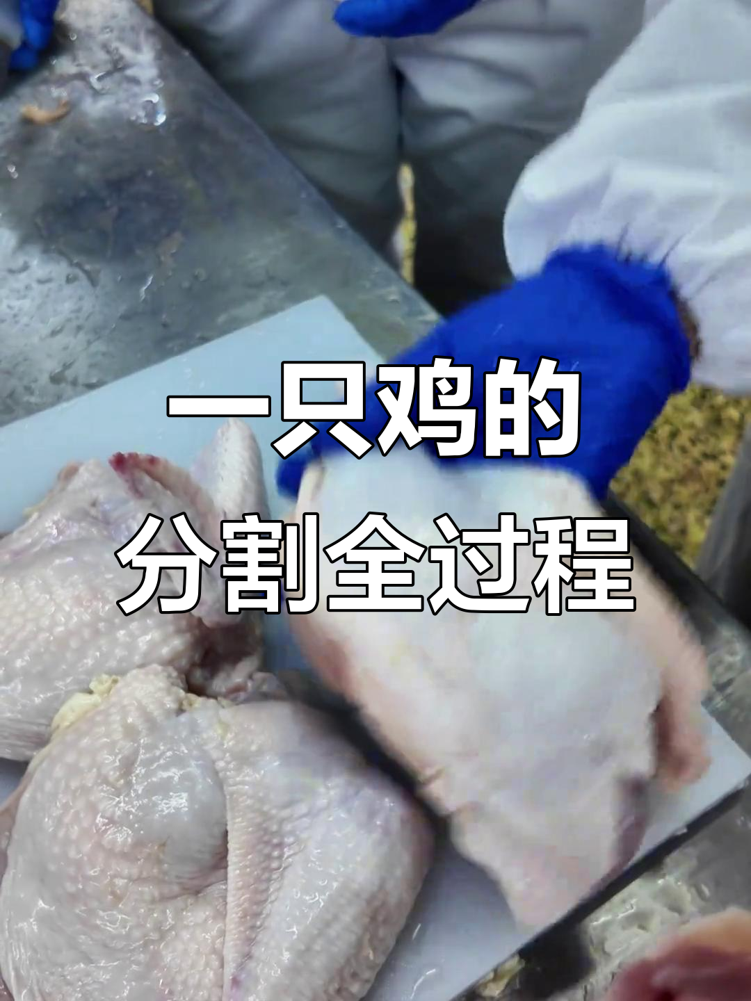 完整步骤揭秘：如何分割一只鸡，轻松掌握每个部位