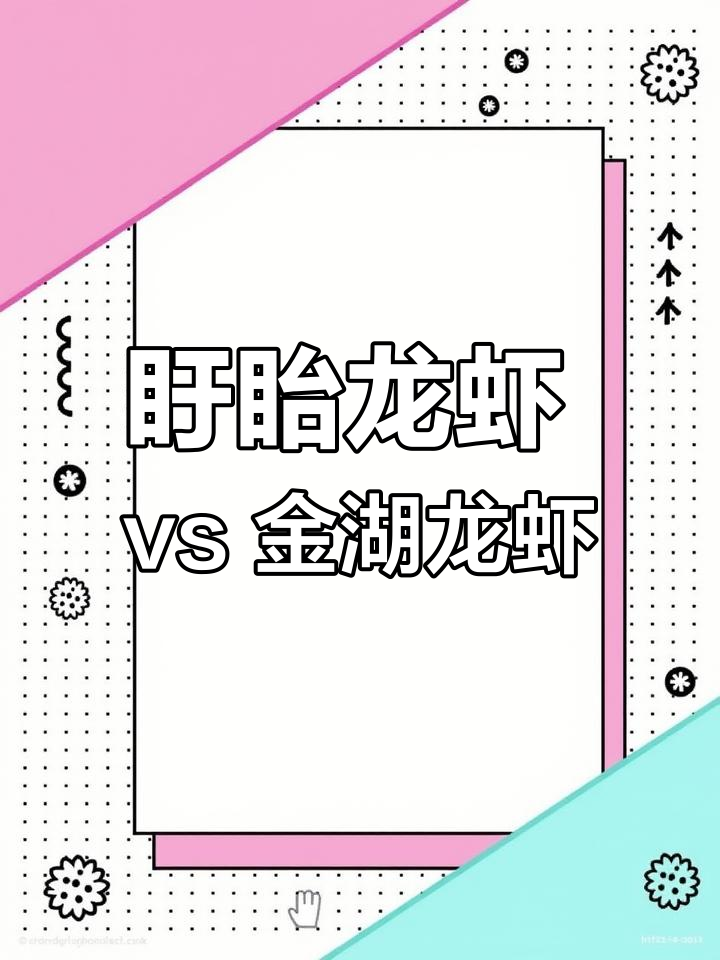 盱眙龙虾与金湖龙虾的对比,哪个更好吃?