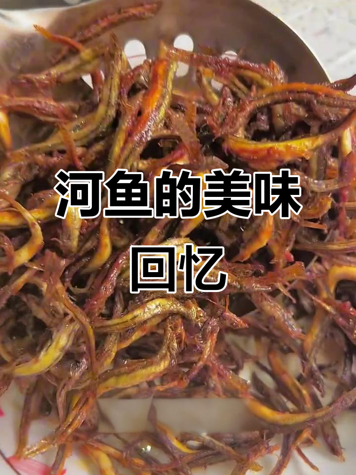 小时候河里常见,现在难得一见的美味小鱼