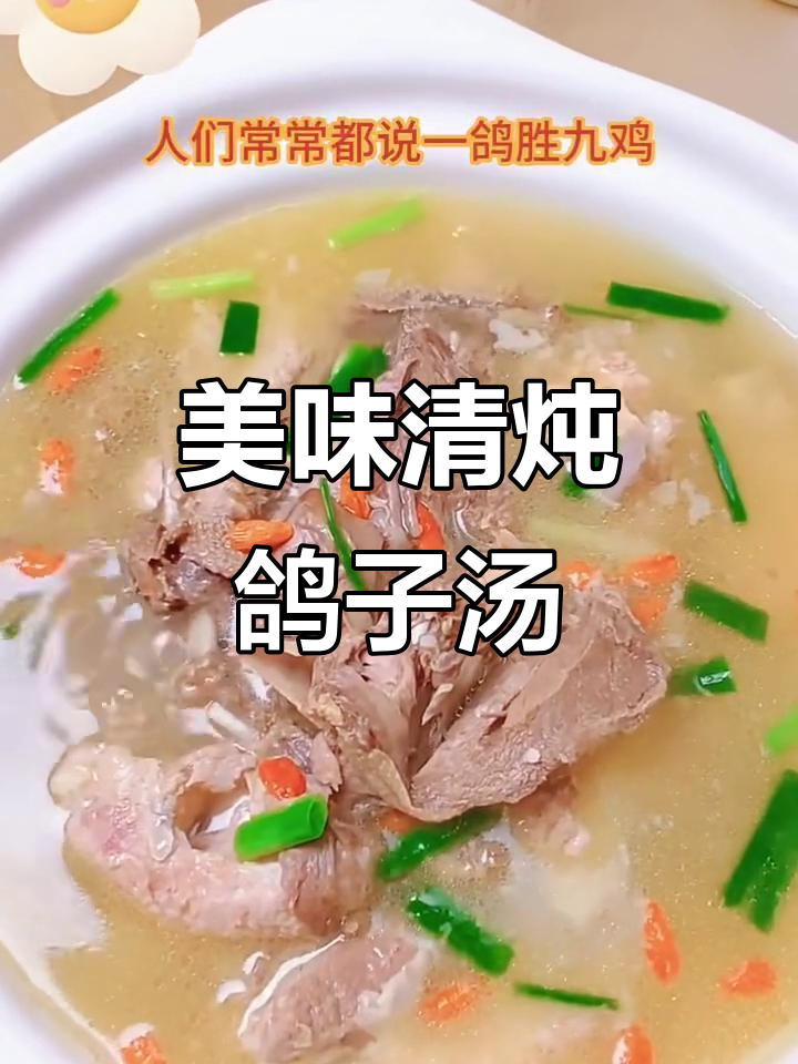 清炖鸽子汤,鲜美又营养,做法超简单