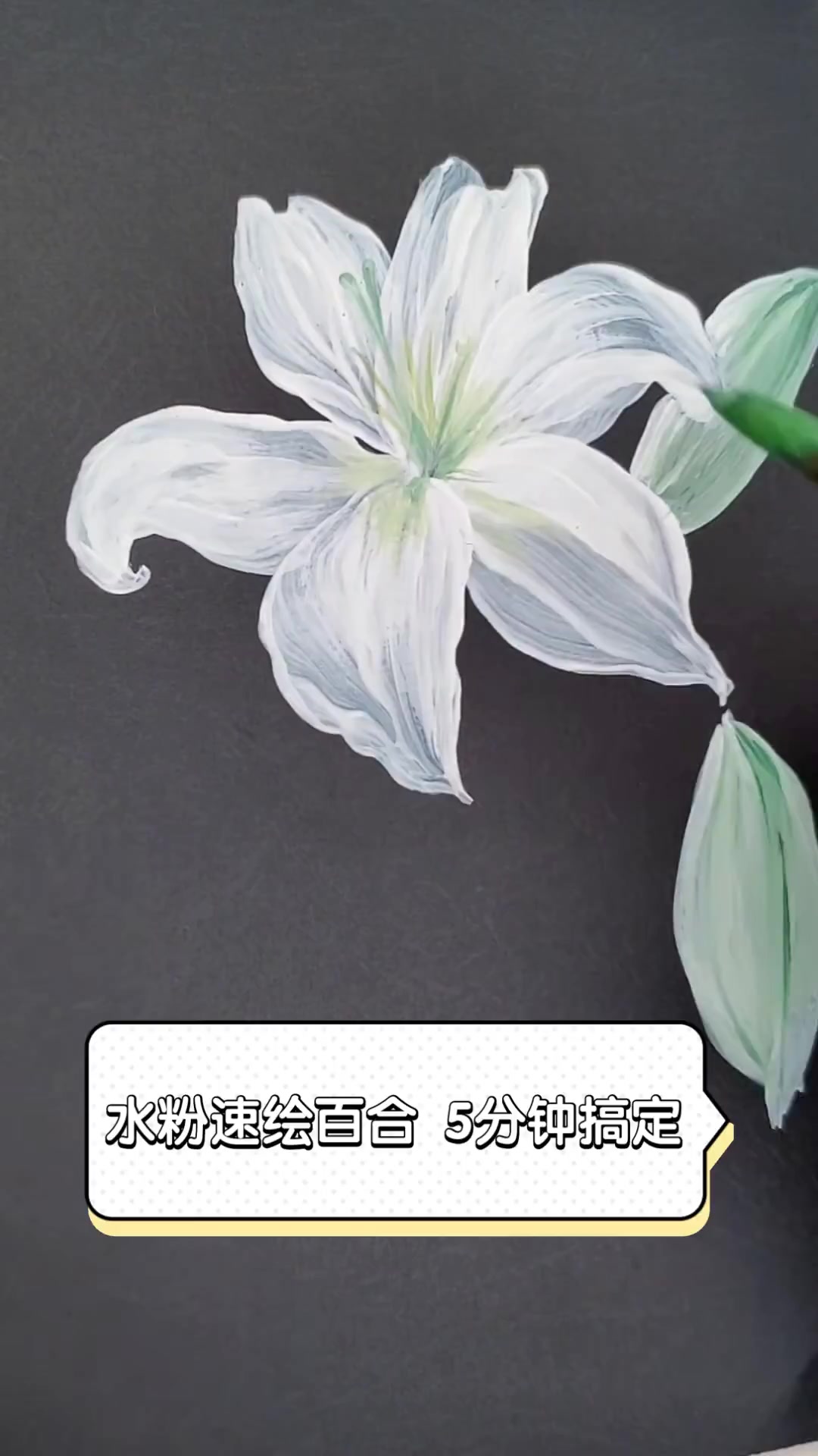 水粉速绘百合,5分钟搞定