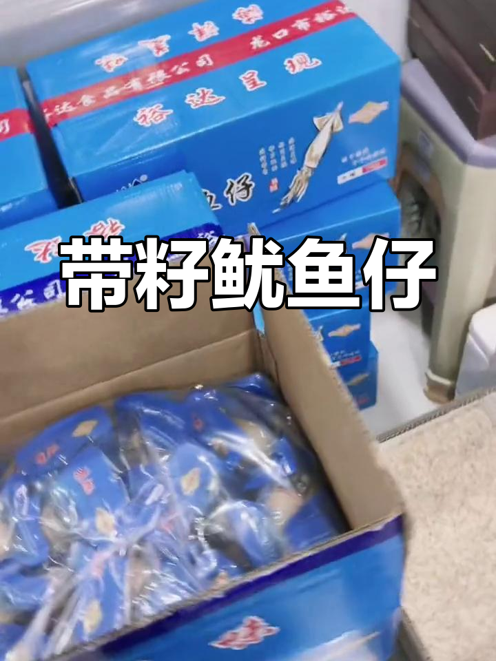 新鲜带籽鱿鱼仔批发零售