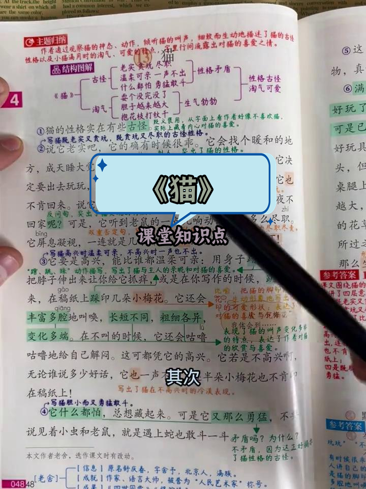 四年级语文《猫》课文重点解析与考点总结