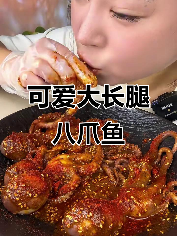 大长腿八爪鱼来袭,萌态十足!