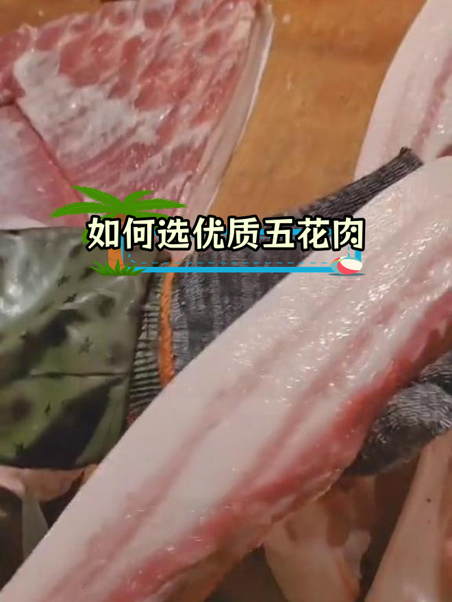 新鲜猪肉如何挑选?看油脂和肉质