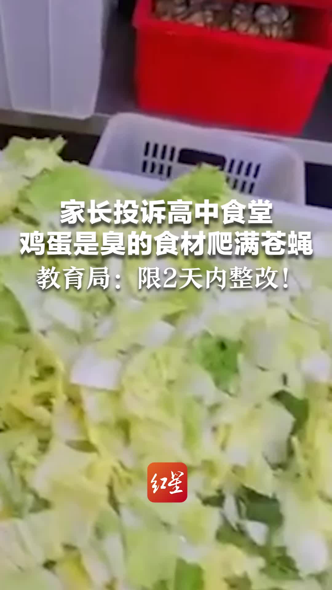 家长投诉高中食堂鸡蛋是臭的,食材爬满苍蝇 教育局:限2天内整改