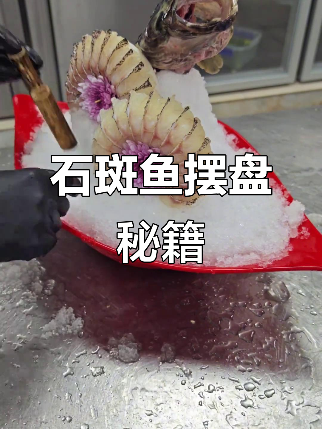 石斑鱼摆盘轻松学，刺身造型合集等你探索！