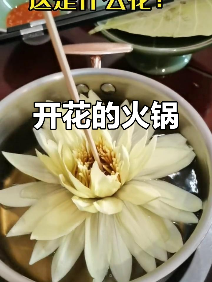 火锅也能开花?这招太神奇了!