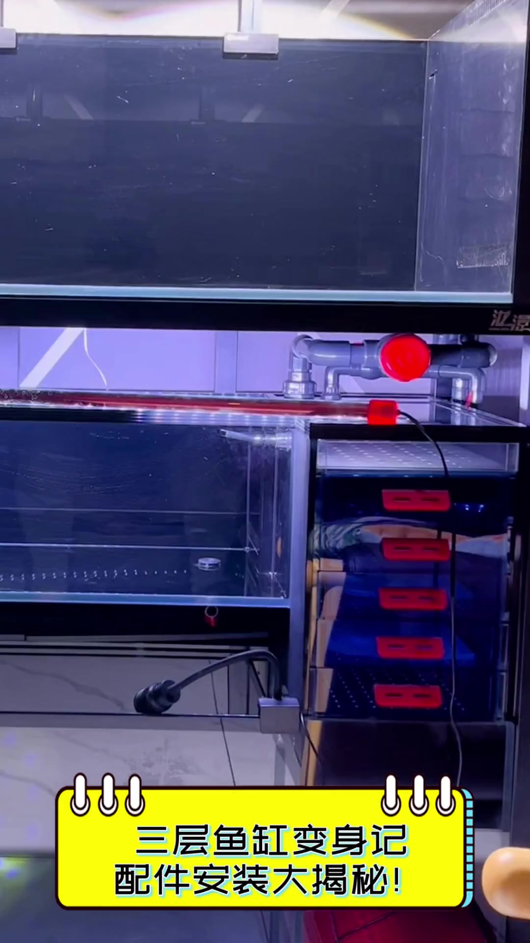 三层鱼缸变身记,配件安装大揭秘!