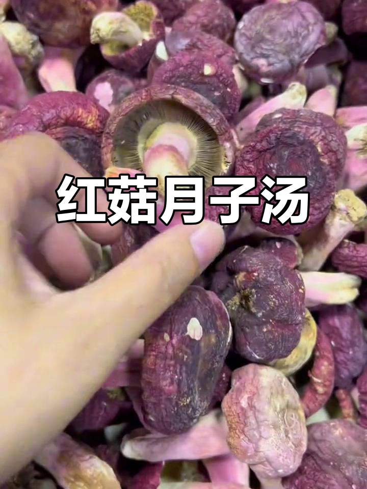 福建月子必备红菇汤,鸡汤鲜美,滋补又好喝