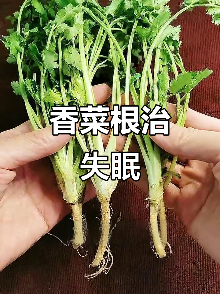 晚上睡不着?试试香菜根煮水,轻松解决失眠问题