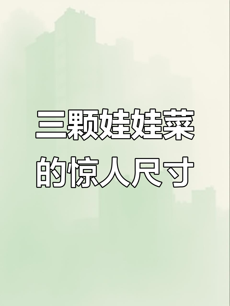 娃娃菜大小差距大,三颗装也能这么小?