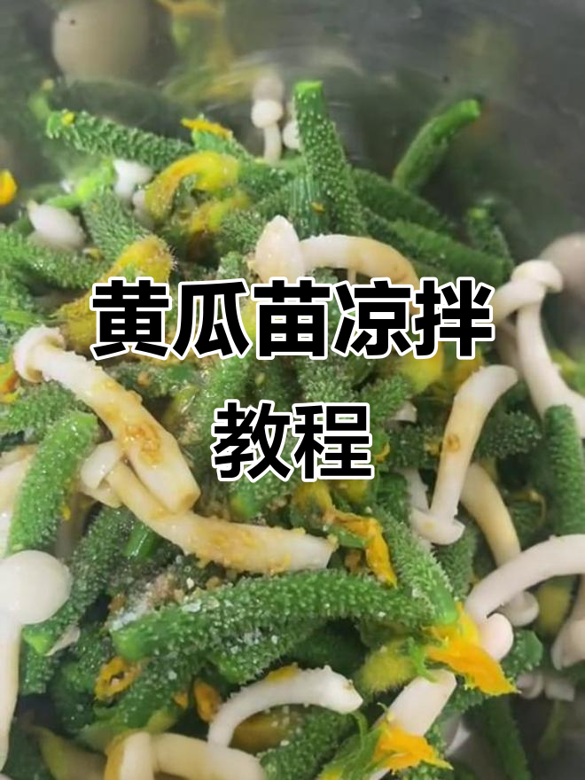 凉拌黄瓜苗与白玉菇的完美搭配,清爽又美味
