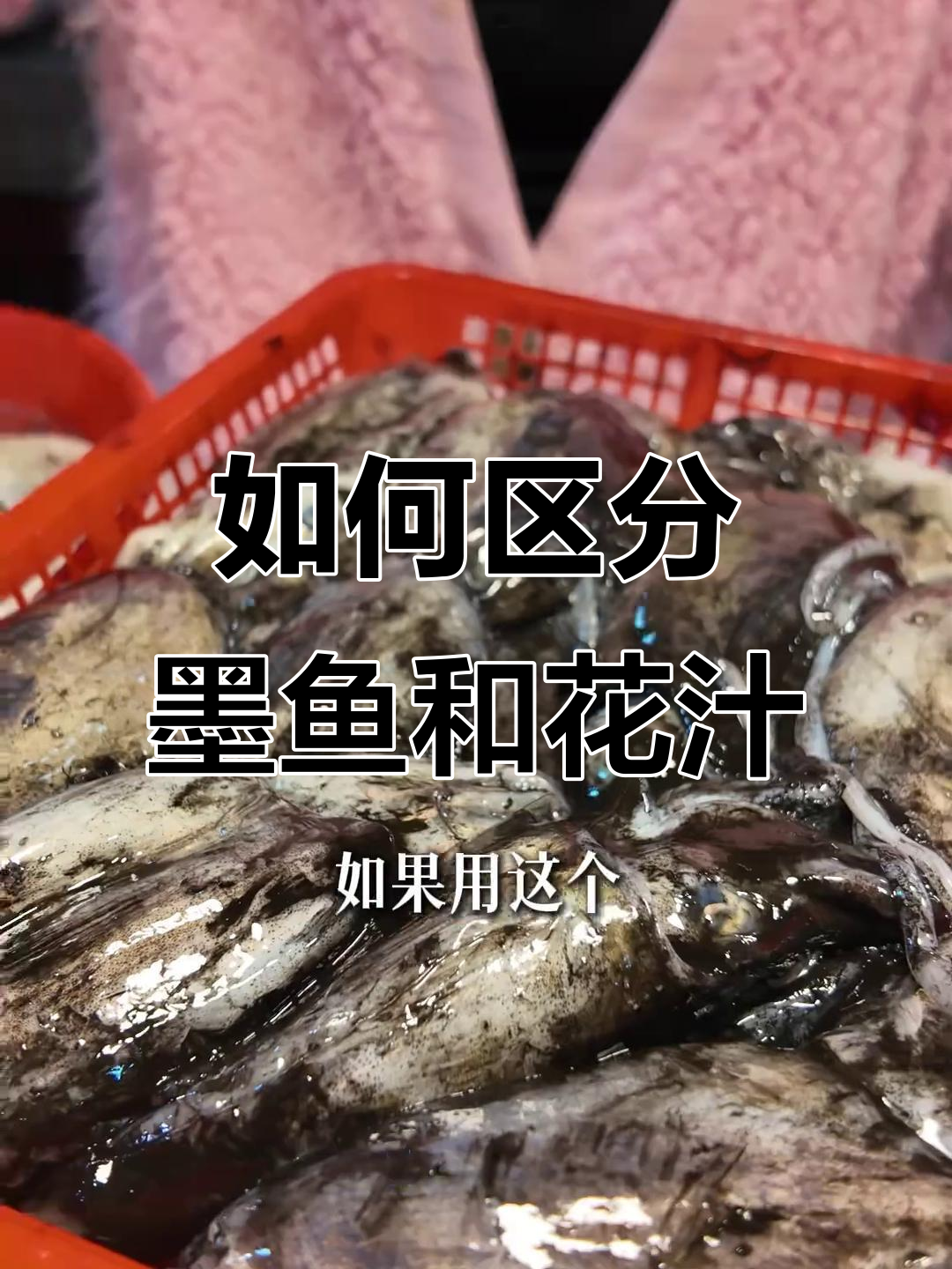 墨鱼花枝傻傻分不清?教你一招轻松辨别