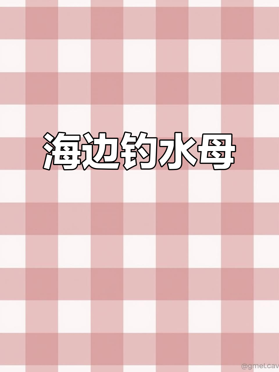 钓鱼新技巧:海边钓水母,驴大鹏展翅来袭
