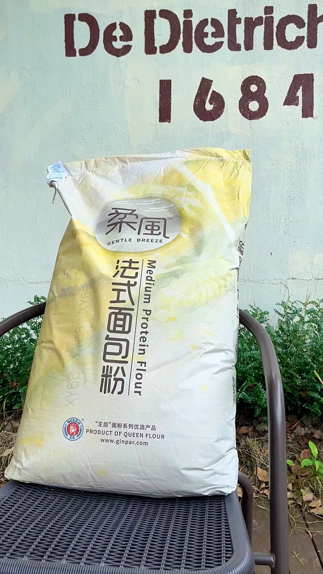 王后柔风法式面包粉