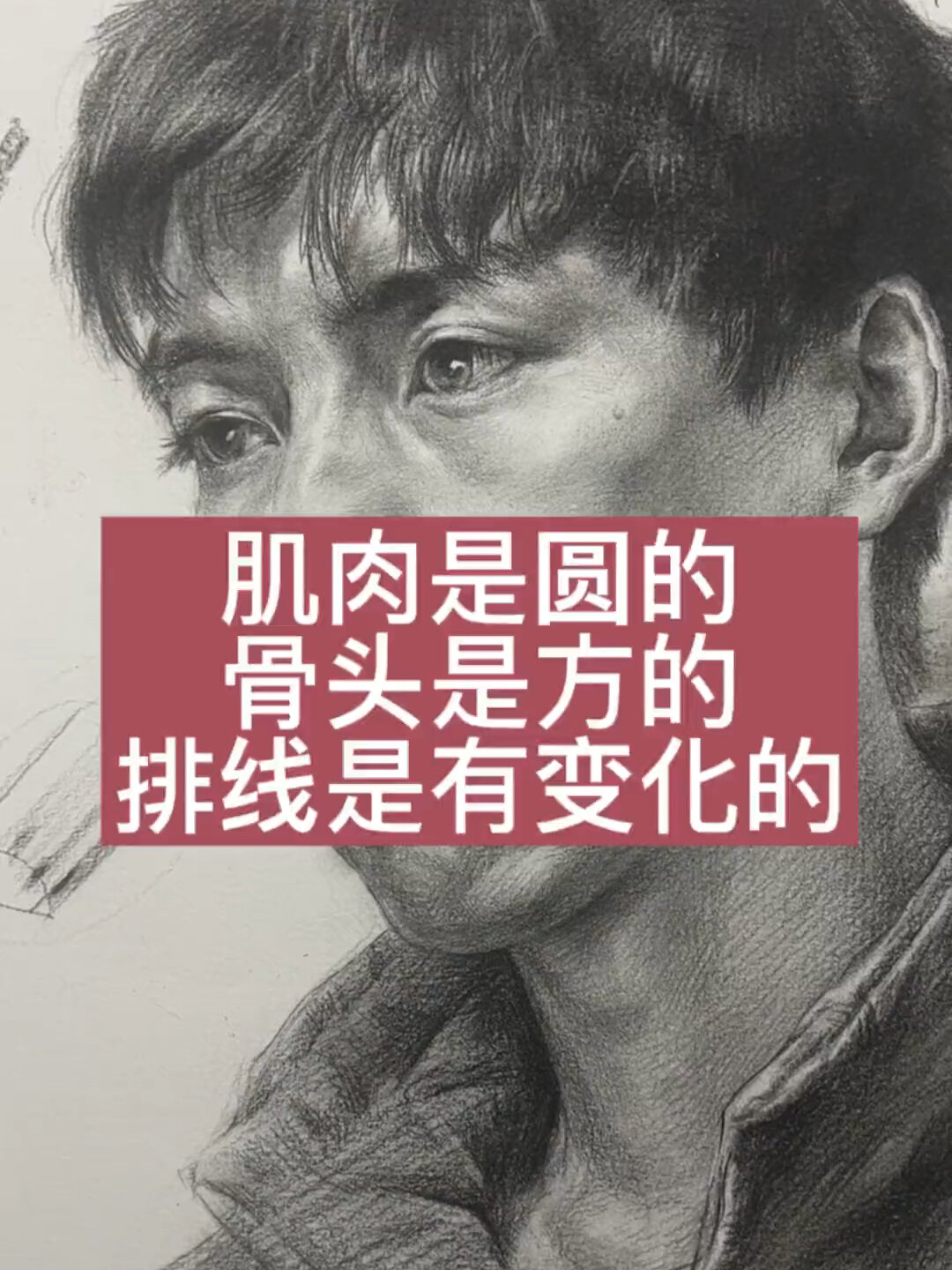 一分钟学会素描面部排线过度|掌握高分