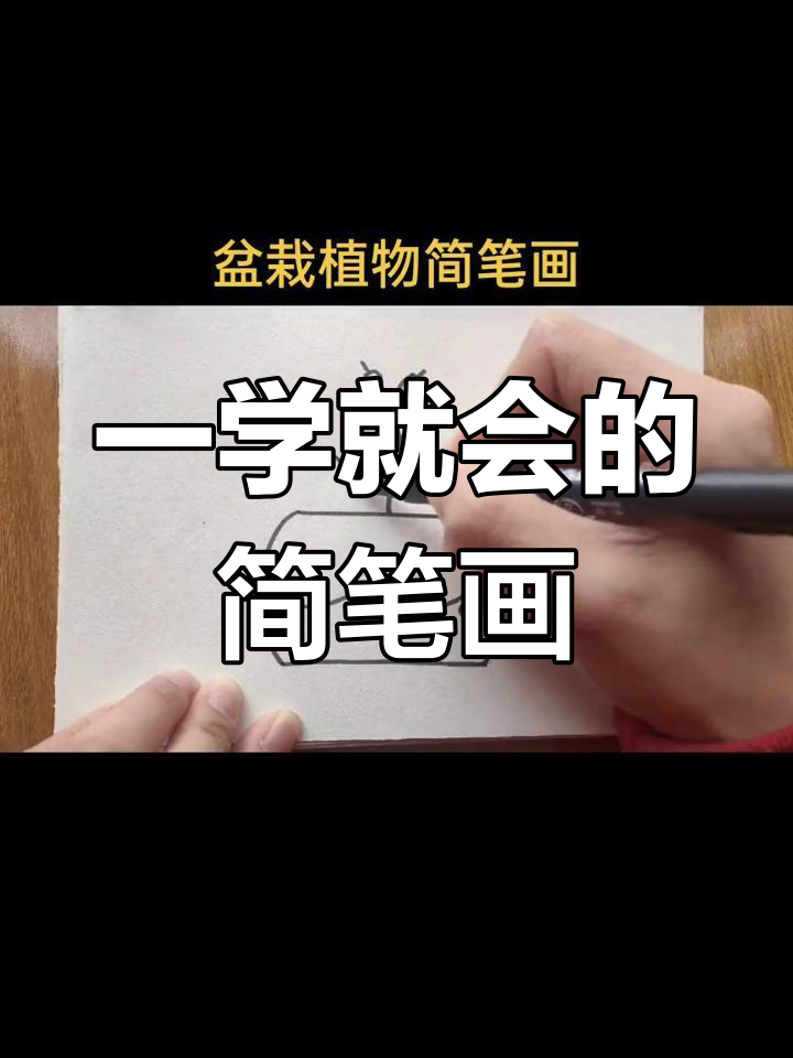 简单盆栽植物画法教程