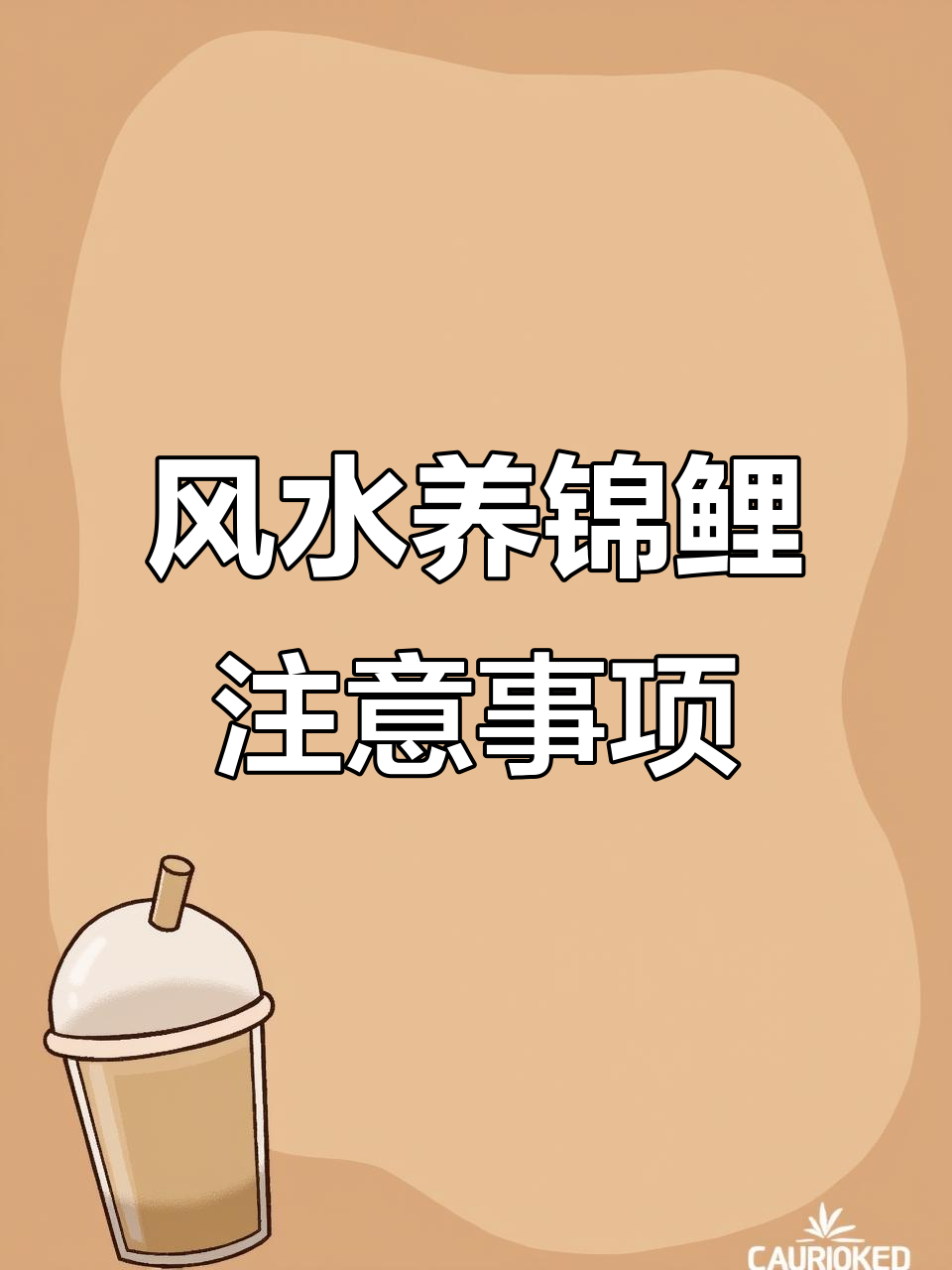 养锦鲤的风水禁忌,命理与鱼缸的完美搭配
