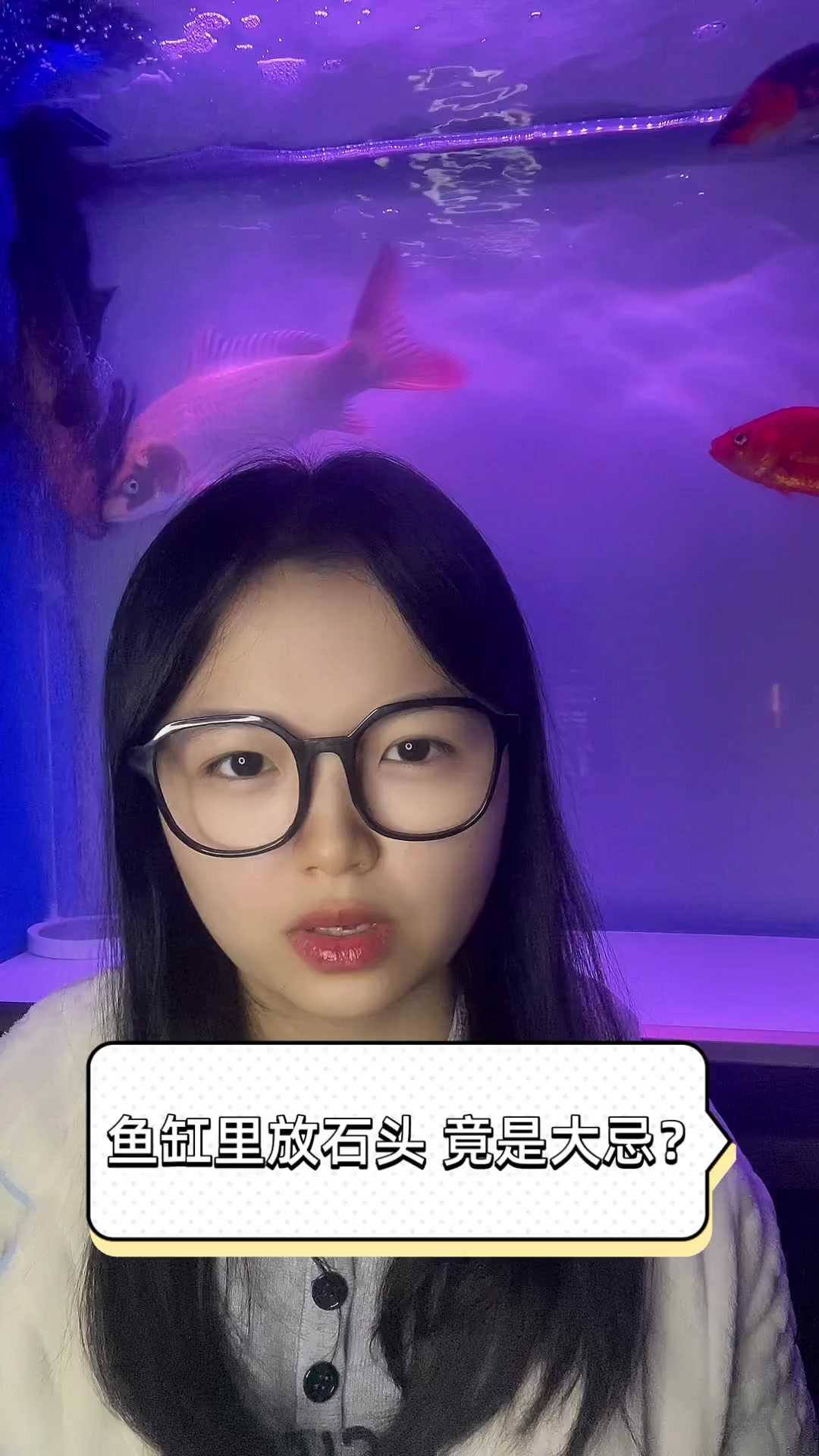 鱼缸里放石头,竟是大忌?